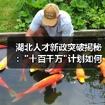 湖北人才新政突破揭秘：
