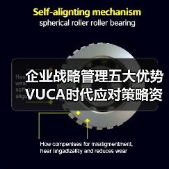 企业战略管理五大优势VUCA时代应对策略资料包全揭秘(图1) 企业战略管理五大优势VUCA时代应对策略资料包全揭秘(图1)