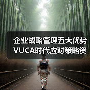 企业战略管理五大优势VUCA时代应对策略资料包全揭秘(图2) 企业战略管理五大优势VUCA时代应对策略资料包全揭秘(图2)