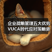 企业战略管理五大优势VUCA时代应对策略资料包全揭秘(图3) 企业战略管理五大优势VUCA时代应对策略资料包全揭秘(图3)