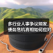 多行业人事争议频发,债务危机真相如何应对?(图2) 多行业人事争议频发,债务危机真相如何应对?(图2)