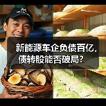 新能源车企负债百亿,债转股能否破局?(图1) 新能源车企负债百亿,债转股能否破局?(图1)