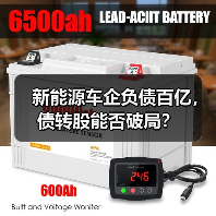 新能源车企负债百亿,债转股能否破局?(图4) 新能源车企负债百亿,债转股能否破局?(图4)