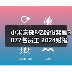 小米豪掷8亿股份奖励3877名员工 2024财报创历史新高(图4) 小米豪掷8亿股份奖励3877名员工 2024财报创历史新高(图4)