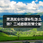 灵活就业社保补贴怎么领?三城最新政策全解析(图3) 灵活就业社保补贴怎么领?三城最新政策全解析(图3)