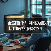 全国首个！湖北为脑机接口医疗服务定价（图2）