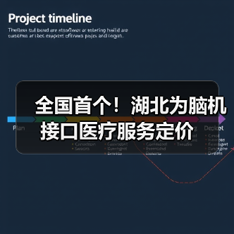 全国首个！湖北为脑机接口医疗服务定价（图4）