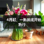 4月起，一批新规开始施行（图4）