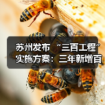 苏州发布 “三百工程”实施方案：三年新增百万人才！（图4）