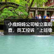小鹿妈妈公司被立案调查，员工控诉“上班像坐牢”（图2）