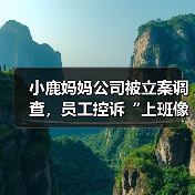 小鹿妈妈公司被立案调查，员工控诉“上班像坐牢”（图3）