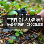 三茅日报丨人力资源相关最新简讯（2025年3月26日）（图4）