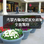 内蒙古稳岗促就业政策全面落地（图1）