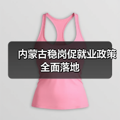 内蒙古稳岗促就业政策全面落地（图3）