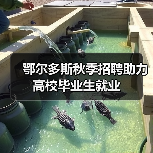 鄂尔多斯秋季招聘助力高校毕业生就业（图1）