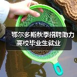 鄂尔多斯秋季招聘助力高校毕业生就业（图3）