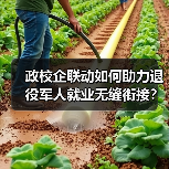 政校企联动如何助力退役军人就业无缝衔接？（图1）