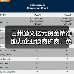 贵州遵义亿元资金精准助力企业稳岗扩岗，免申即享减负显成效（图2）