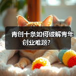 青创十条如何破解青年创业难题？（图2）