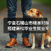 宁夏石嘴山市精准对接搭建高校毕业生就业平台（图3）
