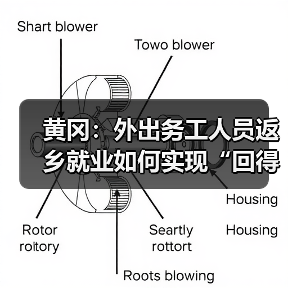 黄冈:外出务工人员返乡就业如何实现“回得来、留得住”?(图2) 黄冈:外出务工人员返乡就业如何实现“回得来、留得住”?(图2)
