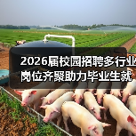 2026届校园招聘多行业岗位齐聚助力毕业生就业（图2）