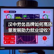 汉中劳务品牌如何高质量发展助力就业增收?(图3) 汉中劳务品牌如何高质量发展助力就业增收?(图3)