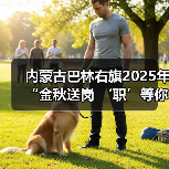 内蒙古巴林右旗2025年“金秋送岗 ‘职’等你来”招聘活动举办(图1) 内蒙古巴林右旗2025年“金秋送岗 ‘职’等你来”招聘活动举办(图1)