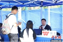 上海杨浦举办两岸暨港澳侨大学生实习见习就业招聘会(图1)